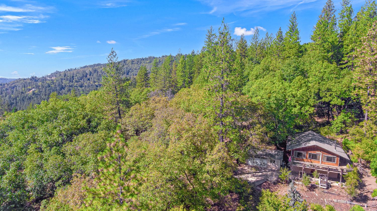 3472 Meyers Road Camino, CA 95709 - Photo 39 of 39