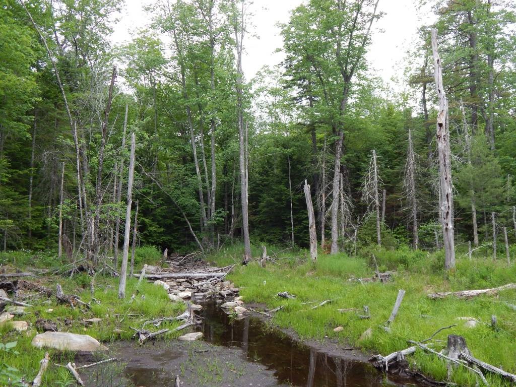 0 Poverty Pond Road, Unit 6 Hill, NH 03243 - Photo 3 of 9