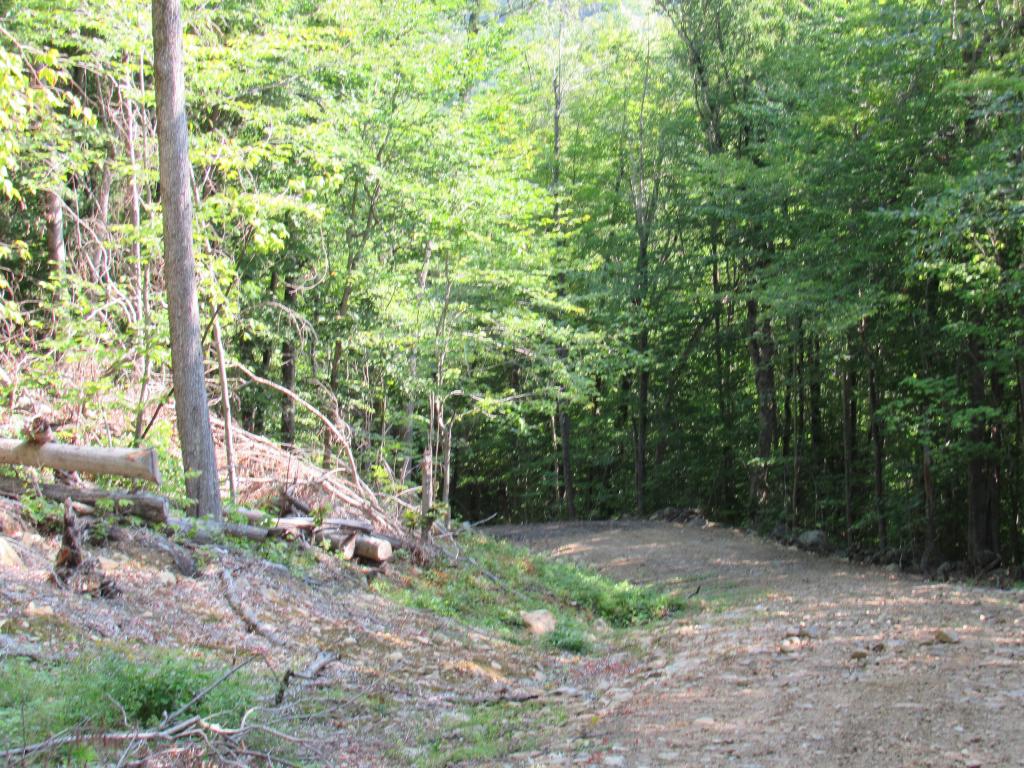 0 Poverty Pond Road, Unit 6 Hill, NH 03243 - Photo 8 of 9