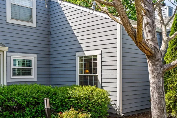a view of a windows in back of the house