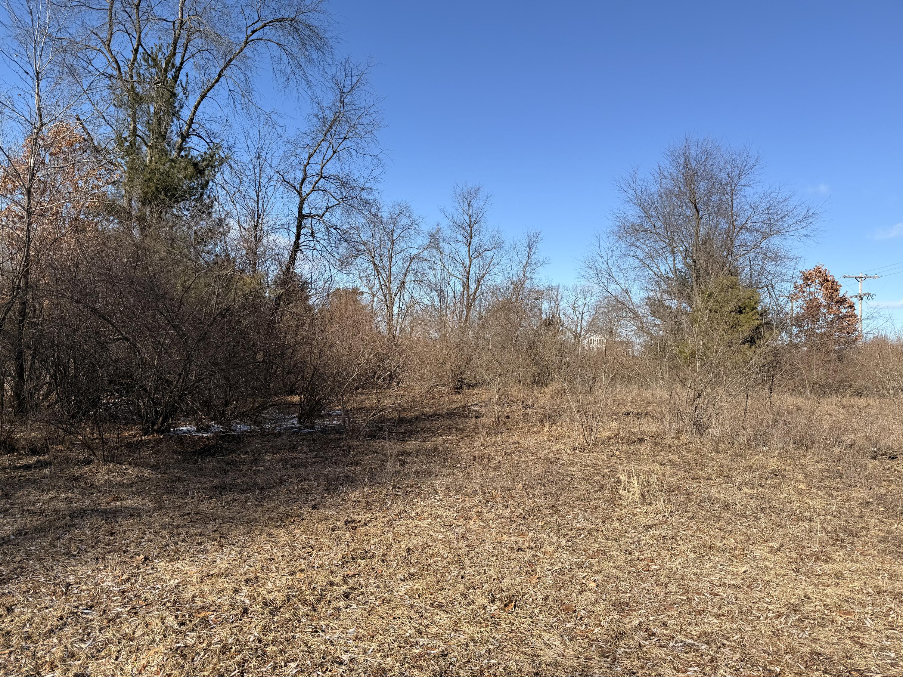 5998 North Bailey Road Coral, MI 49322 - Photo 17 of 28 IMG_4849