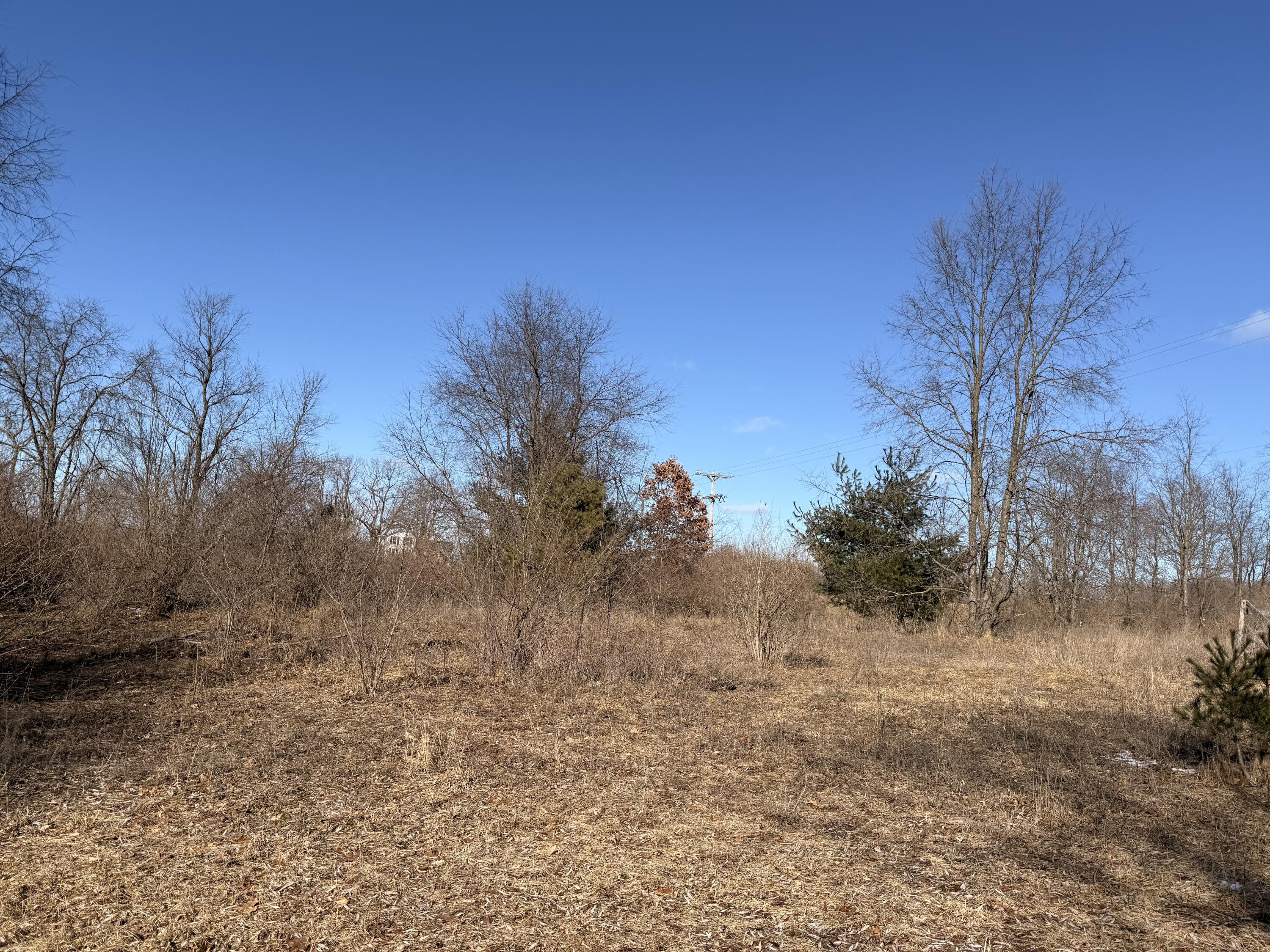 5998 North Bailey Road Coral, MI 49322 - Photo 19 of 28 IMG_4851