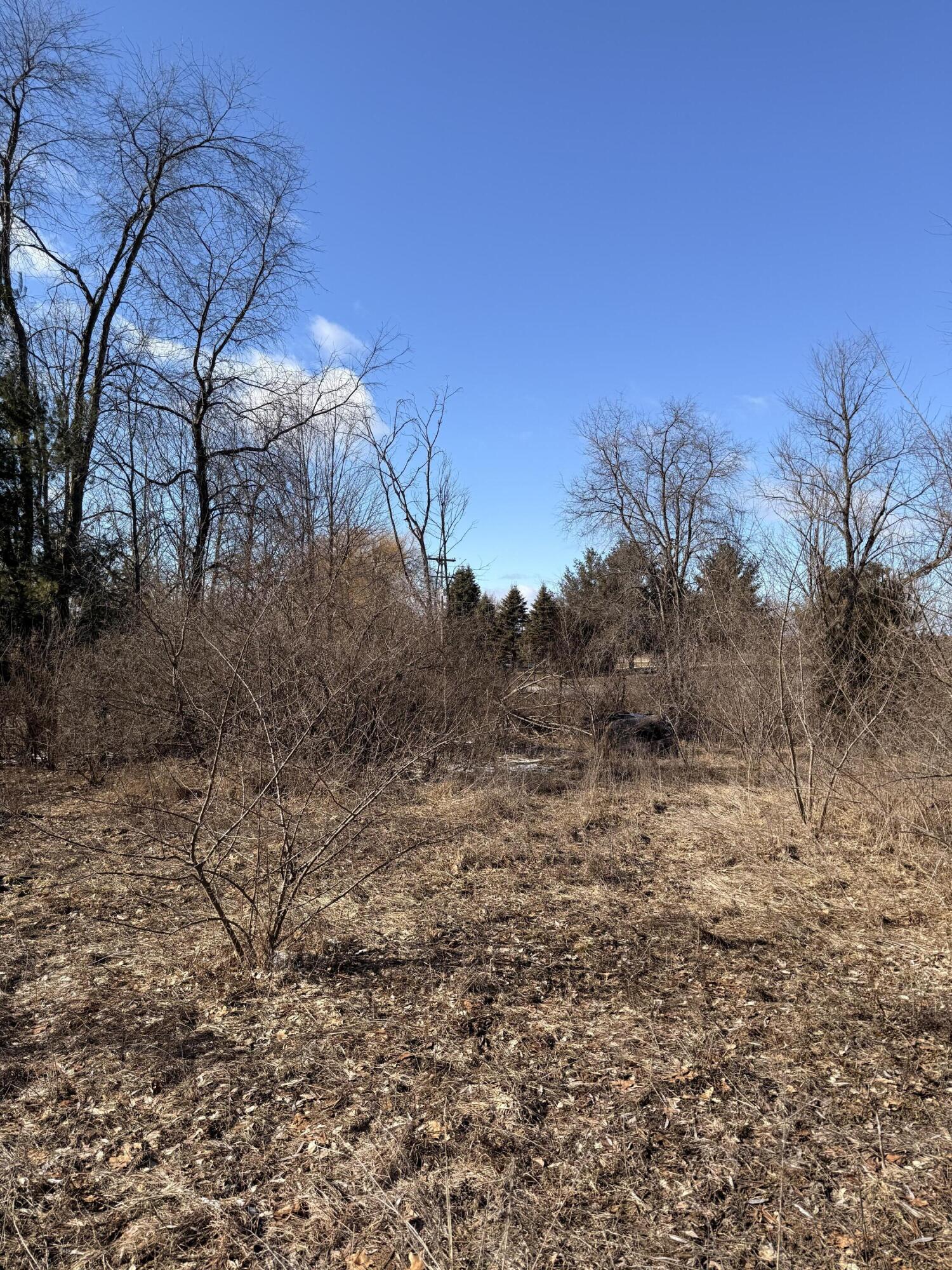 5998 North Bailey Road Coral, MI 49322 - Photo 20 of 28 IMG_4852