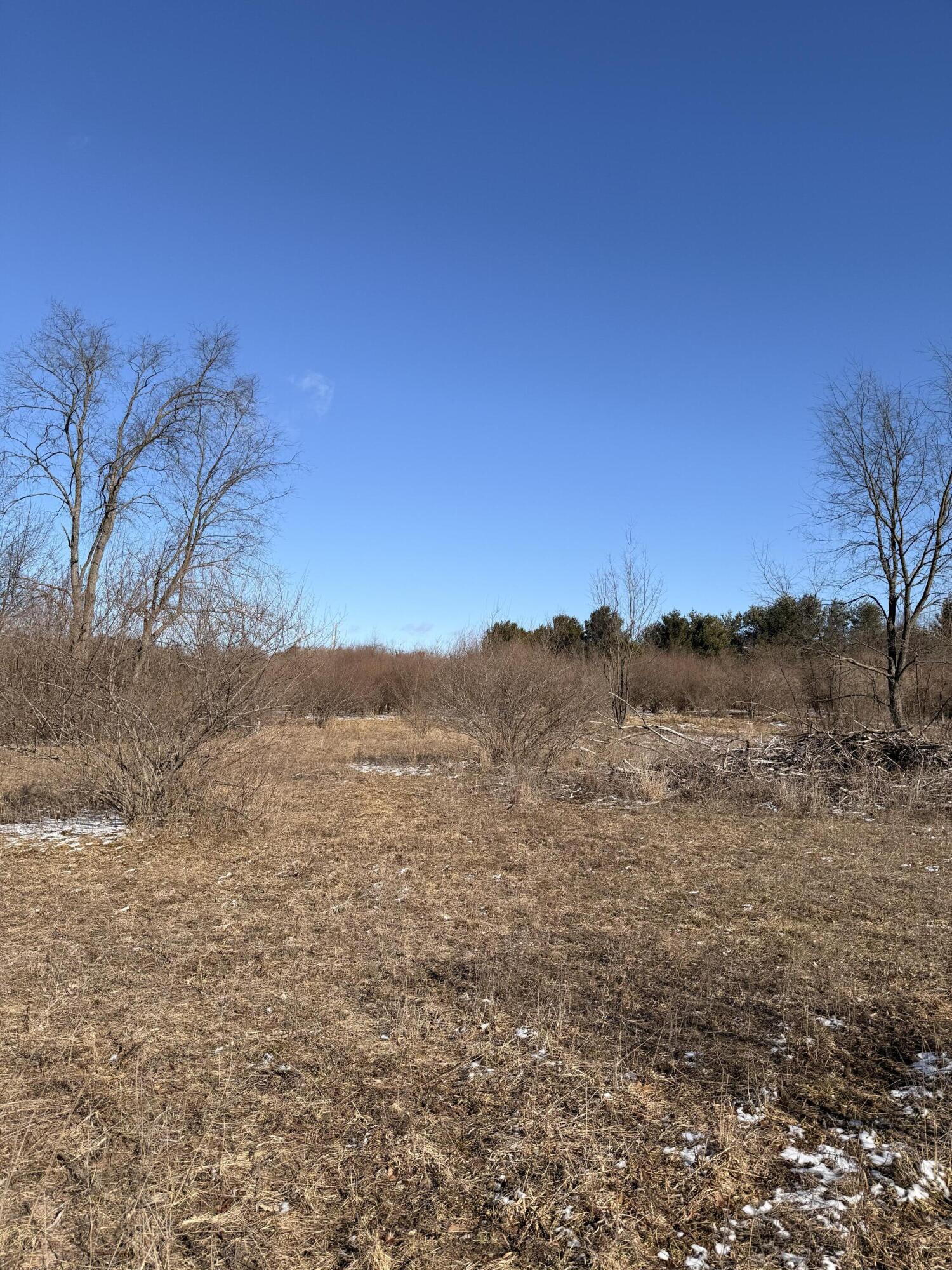 5998 North Bailey Road Coral, MI 49322 - Photo 23 of 28 IMG_4858