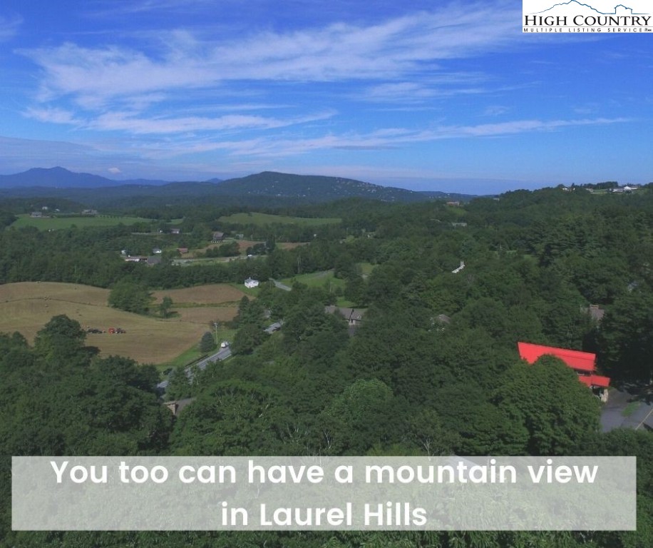Laurel Hill Lane Boone, NC 28607 - Photo 6 of 8