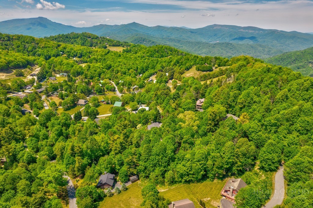 339 Welcome Way Boone, NC 28607 - Photo 20 of 20 a view of a mountain range with lush green forest