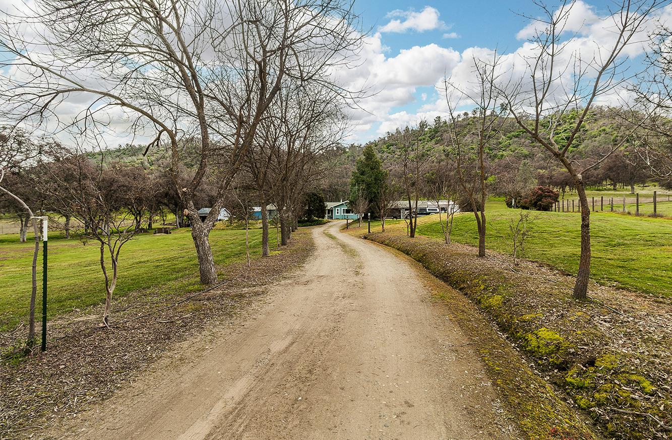 29979 Post Oak Road Tollhouse, CA 93667 - Photo 4 of 42 a view of a park