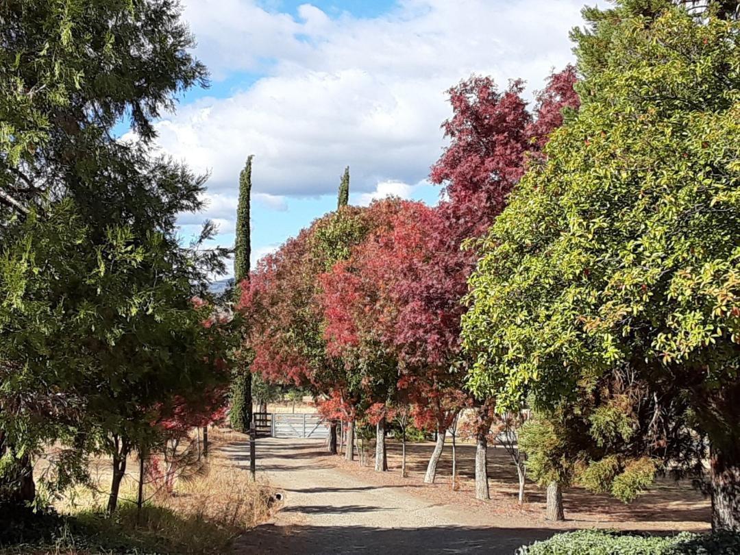 29979 Post Oak Road Tollhouse, CA 93667 - Photo 6 of 42 a view of a city view