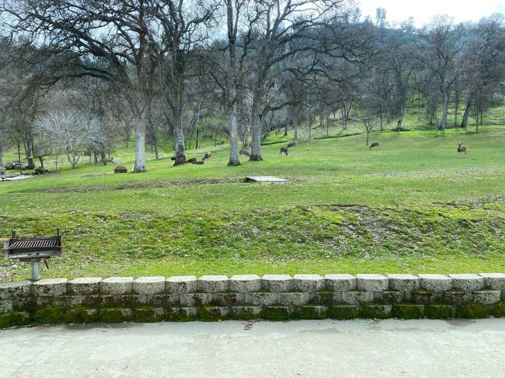 29979 Post Oak Road Tollhouse, CA 93667 - Photo 7 of 42 a view of a park with large trees