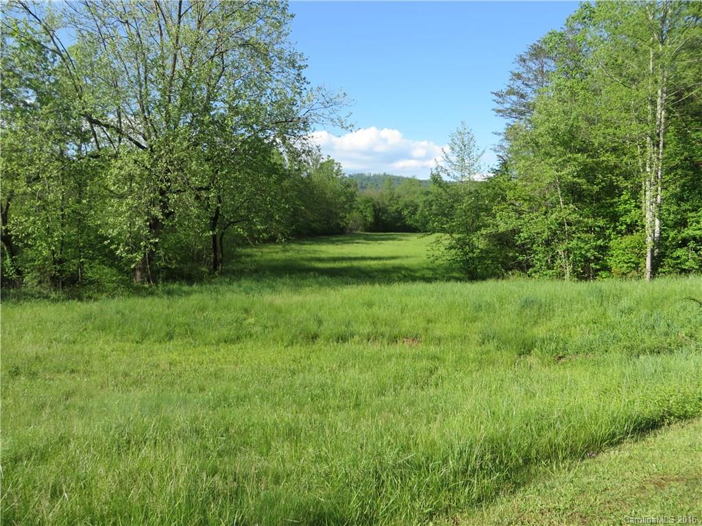 8.92-ac Hopewell Church Road Hiddenite, NC 28636 - Photo 2 of 11 Gallery Image 2