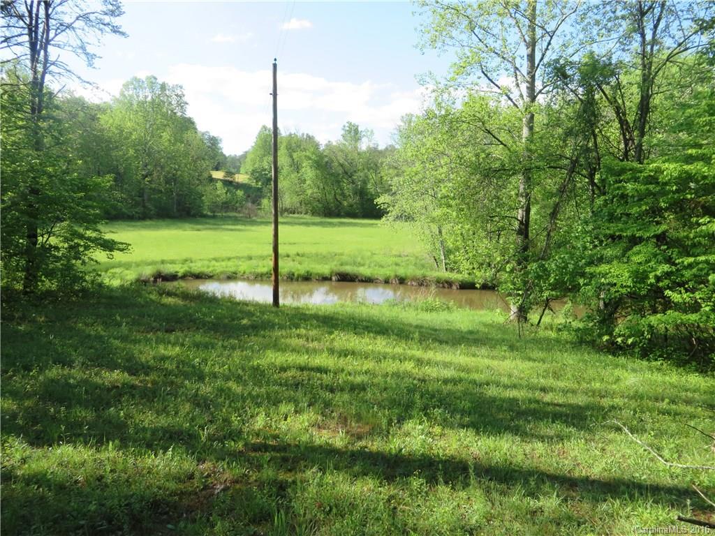 8.92-ac Hopewell Church Road Hiddenite, NC 28636 - Photo 3 of 11 Gallery Image 3