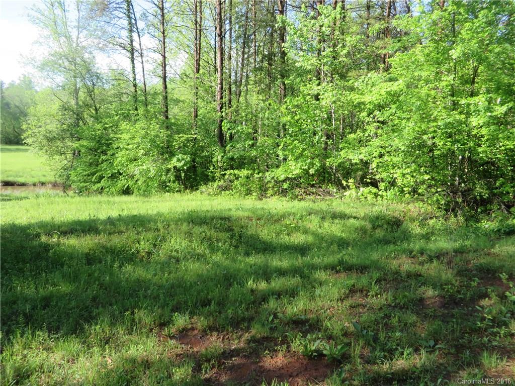 8.92-ac Hopewell Church Road Hiddenite, NC 28636 - Photo 4 of 11 Gallery Image 4