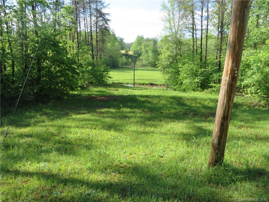 8.92-ac Hopewell Church Road Hiddenite, NC 28636 - Photo 5 of 11 Gallery Image 5