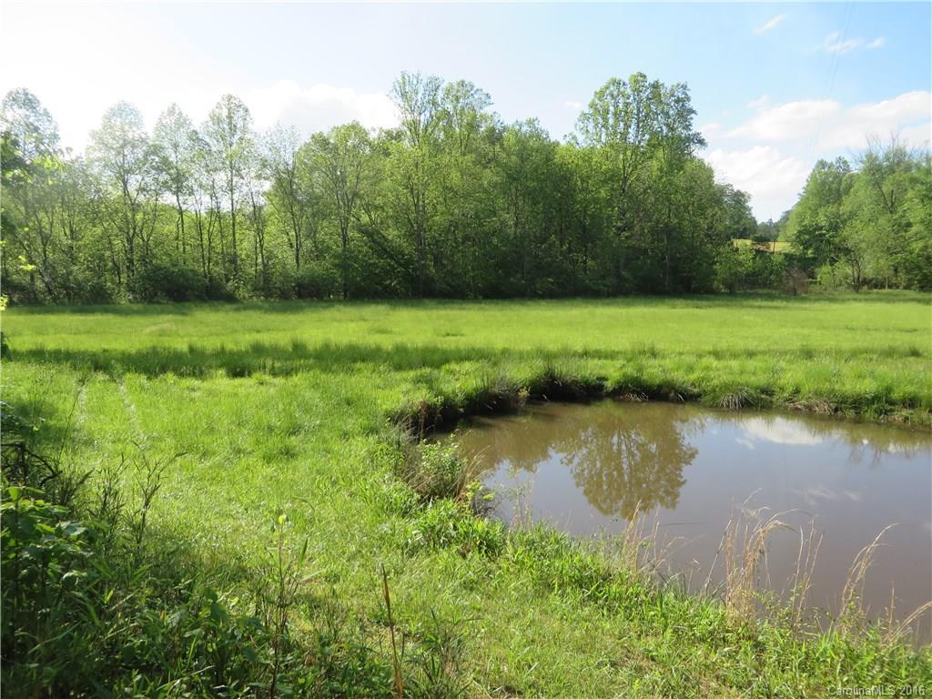 8.92-ac Hopewell Church Road Hiddenite, NC 28636 - Photo 7 of 11 Gallery Image 7