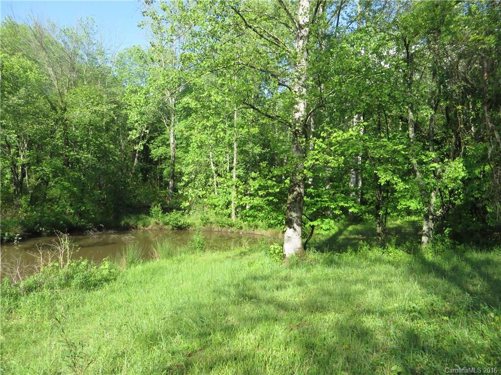 8.92-ac Hopewell Church Road Hiddenite, NC 28636 - Photo 10 of 11 Gallery Image 10