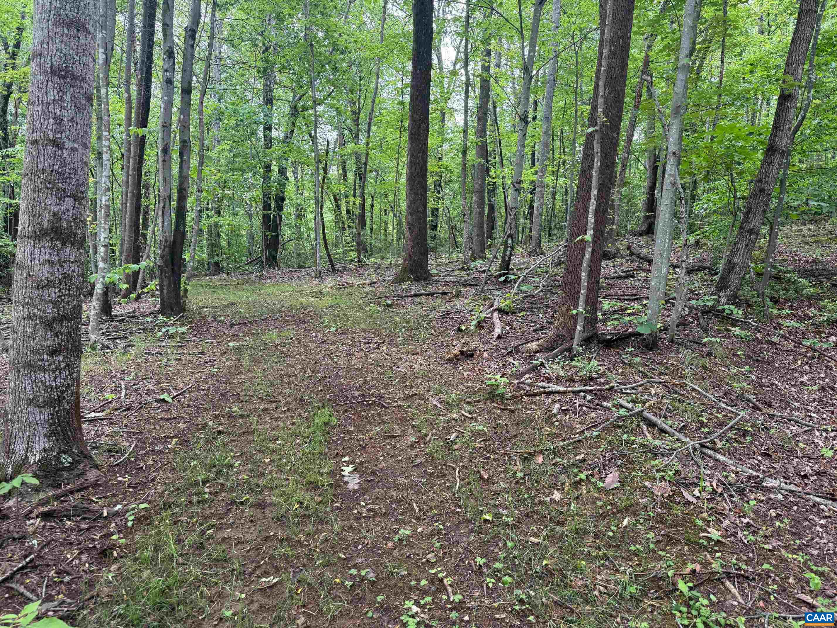 Tbd Rabbit Valley Road North Garden, VA 22959 - Photo 3 of 6 a view of outdoor space and green space