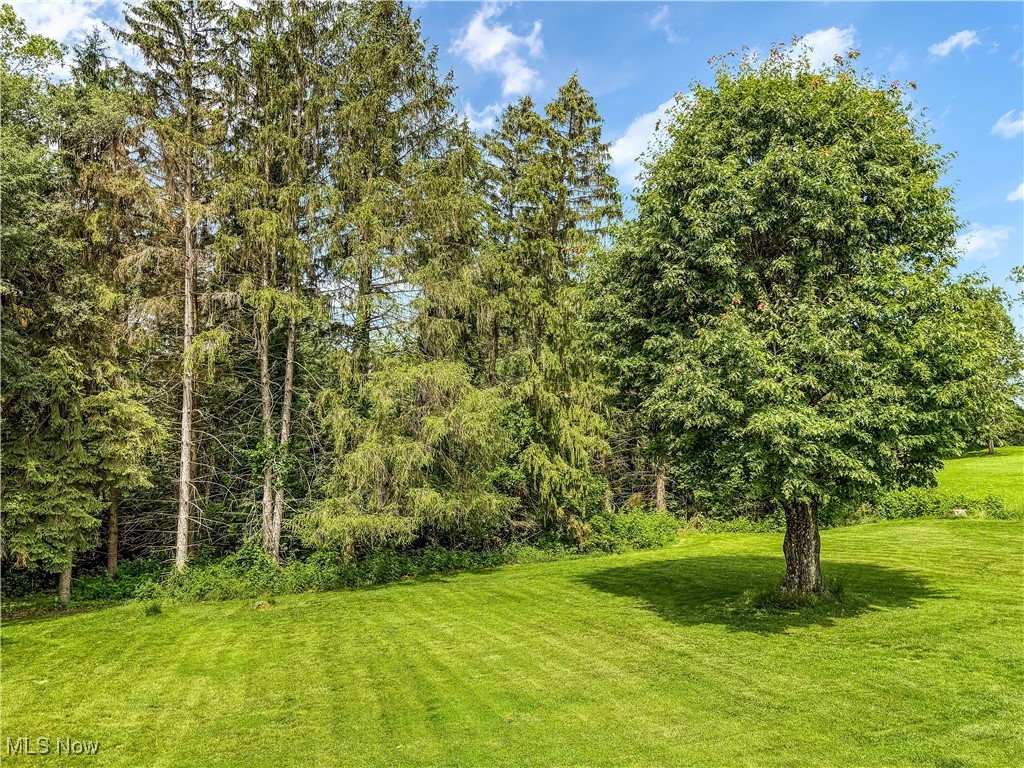 71970 Sharon Road Bridgeport, OH 43912 - Photo 45 of 50 Gallery Image 45
