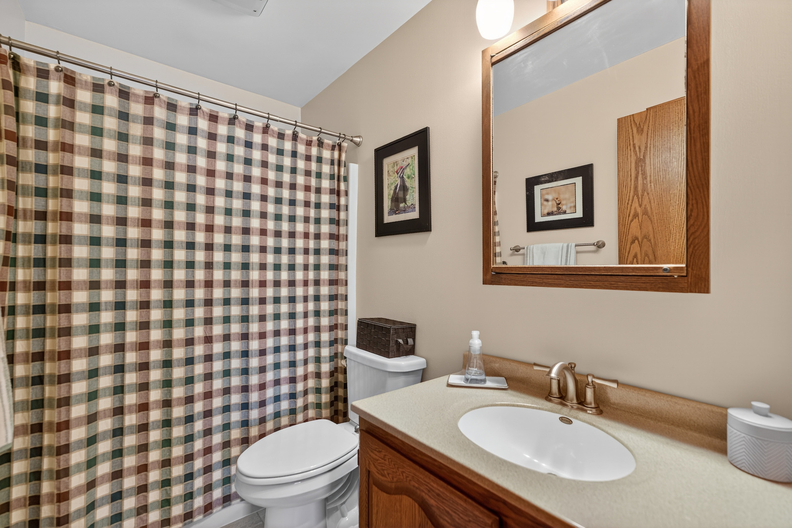 1524 John Street Sycamore, IL 60178 - Photo 25 of 52 a bathroom with a sink toilet and a mirror