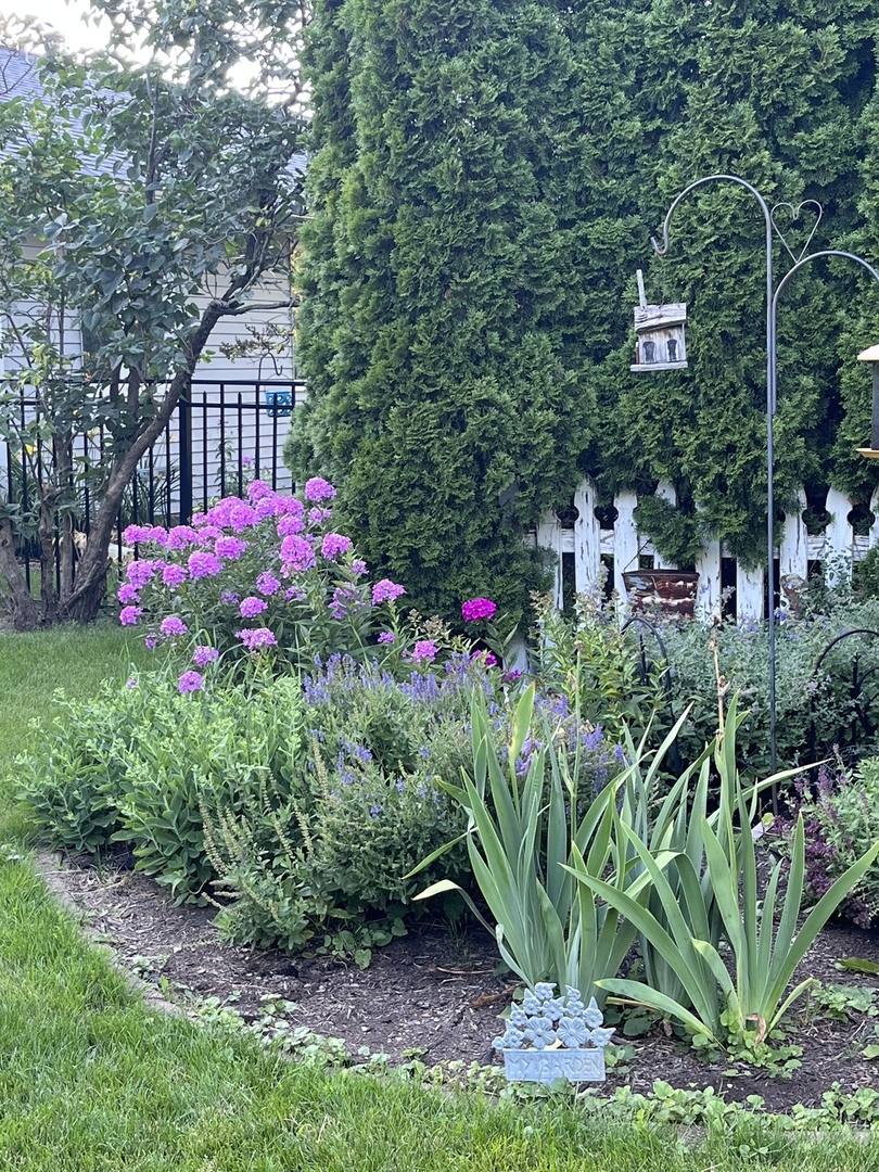 1524 John Street Sycamore, IL 60178 - Photo 51 of 52 a view of a garden with flowers and trees