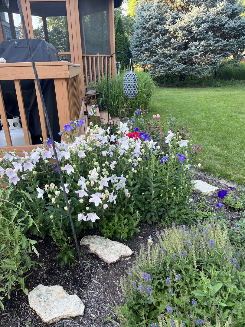 1524 John Street Sycamore, IL 60178 - Photo 52 of 52 a view of a garden with plants and large trees