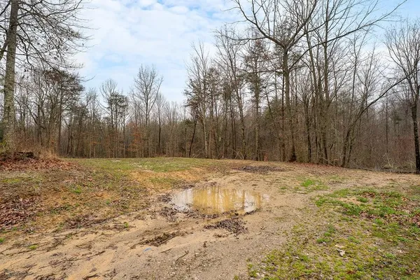 733 Wigwam Street, Sparta, TN 38583