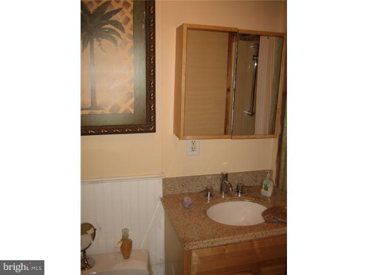 412 Covered Bridge Road Cherry Hill, NJ 08034 - Photo 5 of 23 Master Bathroom