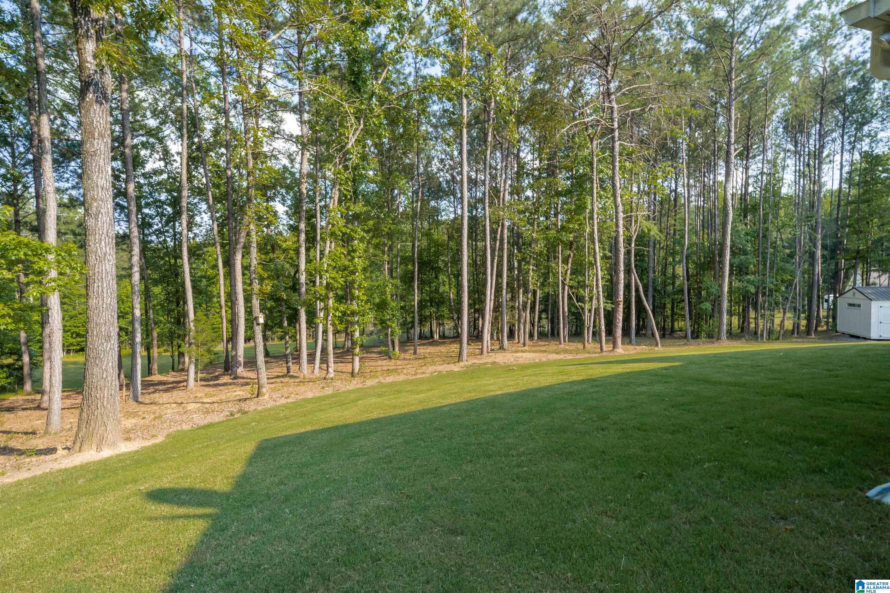 4324 Highway 331 Chelsea, AL 35043 - Photo 45 of 57