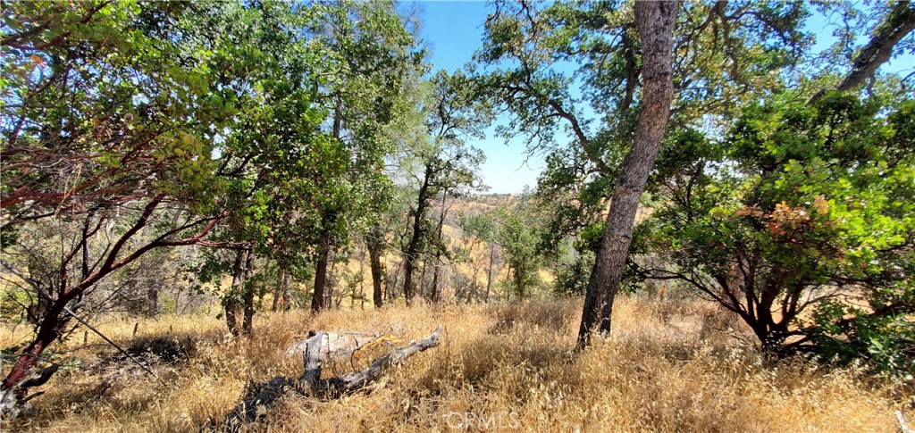 15615 Oakridge Road Corning, CA 96021 - Photo 11 of 16