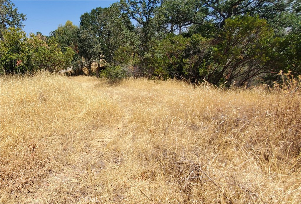 15615 Oakridge Road Corning, CA 96021 - Photo 12 of 16 a view of ocean