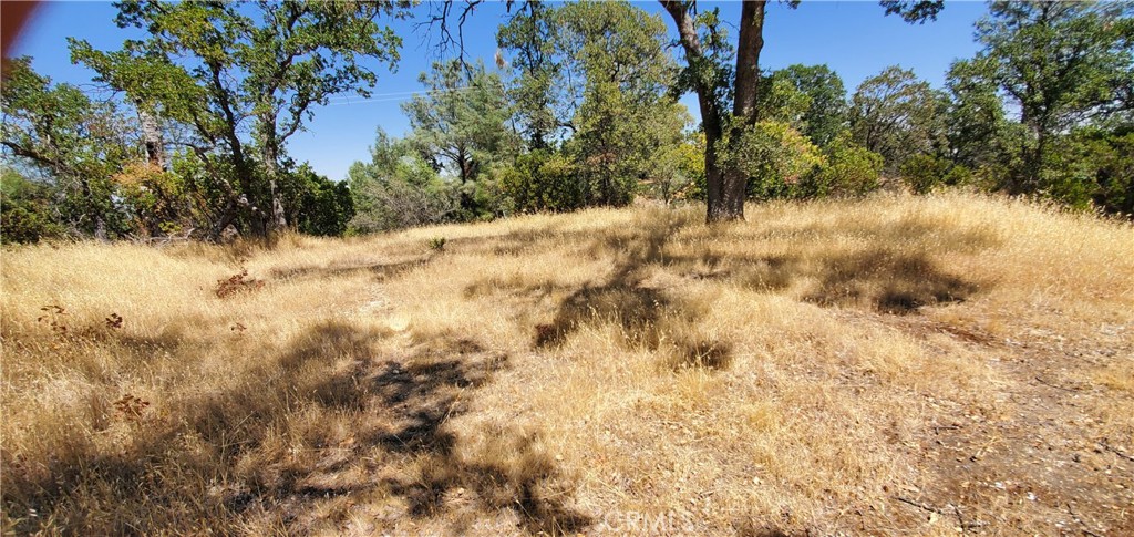 15615 Oakridge Road Corning, CA 96021 - Photo 15 of 16 a view of a yard covered in snow