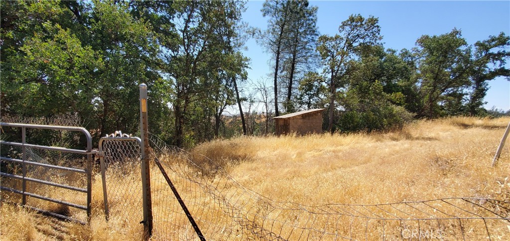 15615 Oakridge Road Corning, CA 96021 - Photo 3 of 16 a view of backyard and swimming pool