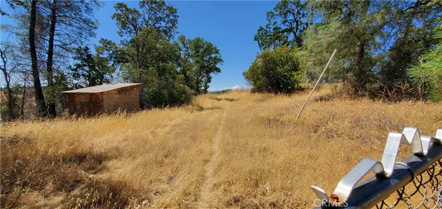 a view of a yard with plants and lake view