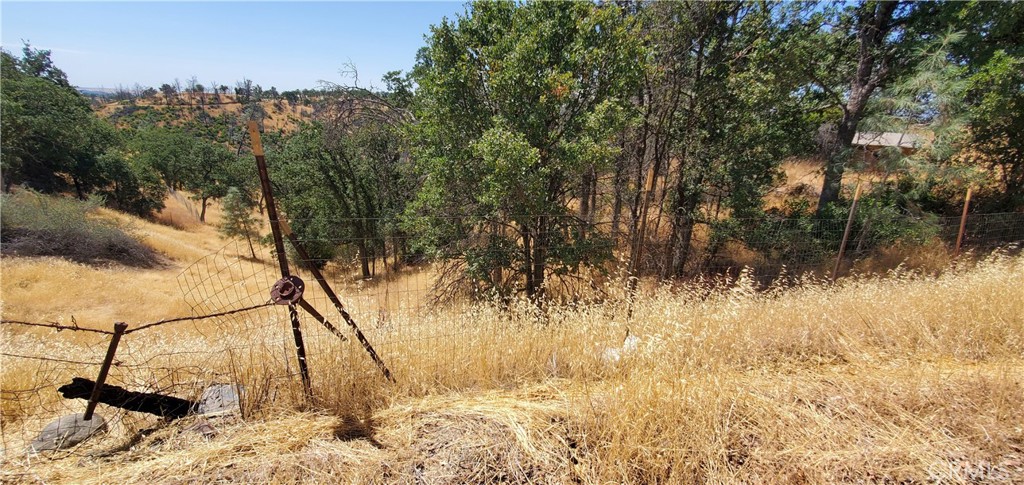 15615 Oakridge Road Corning, CA 96021 - Photo 6 of 16 a view of a yard
