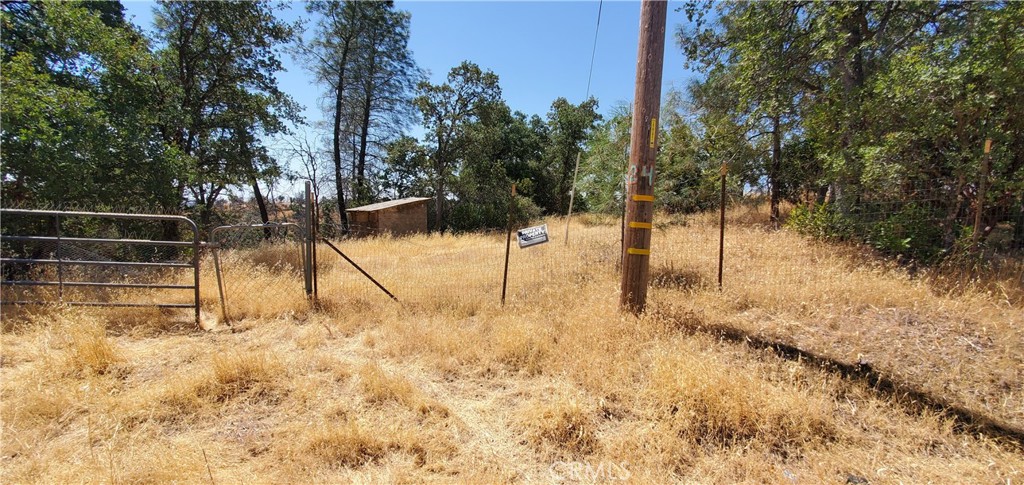 15615 Oakridge Road Corning, CA 96021 - Photo 7 of 16 a view of backyard with trees