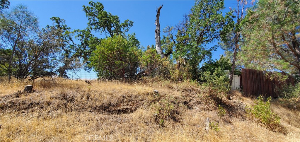 15615 Oakridge Road Corning, CA 96021 - Photo 8 of 16 a view of a yard