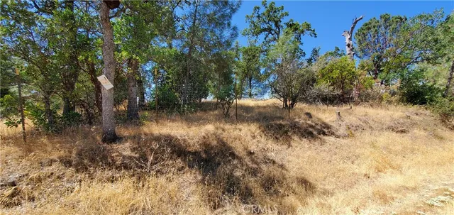 a view of a lake with lots of trees