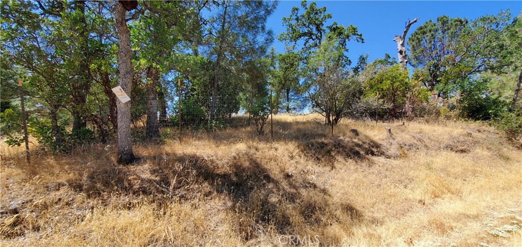 15615 Oakridge Road Corning, CA 96021 - Photo 9 of 16 a view of a lake with lots of trees