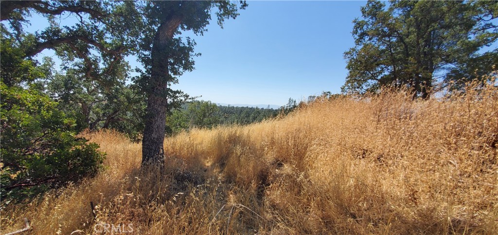 15615 Oakridge Road Corning, CA 96021 - Photo 10 of 16 a view of lake