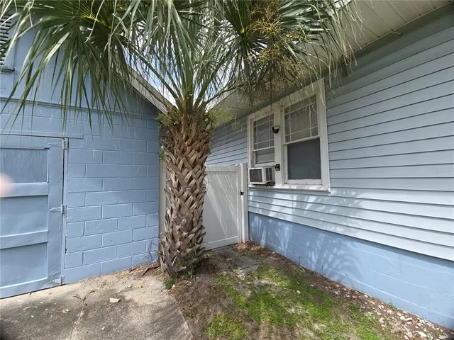 a view of a backyard with plants
