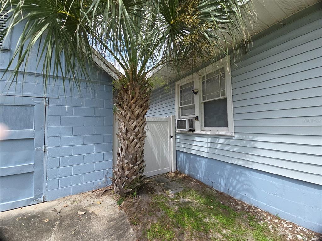 1839 Salem Road, Unit B Lakeland, FL 33803 - Photo 22 of 24 a view of a backyard with plants