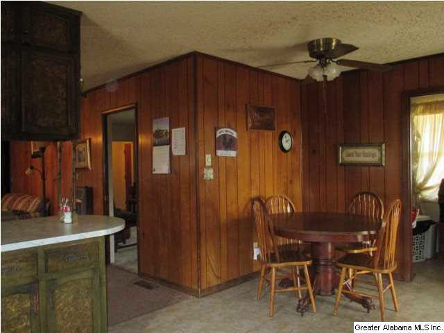 9258 Tingle Cutoff Road Dora, AL 35062 - Photo 6 of 28