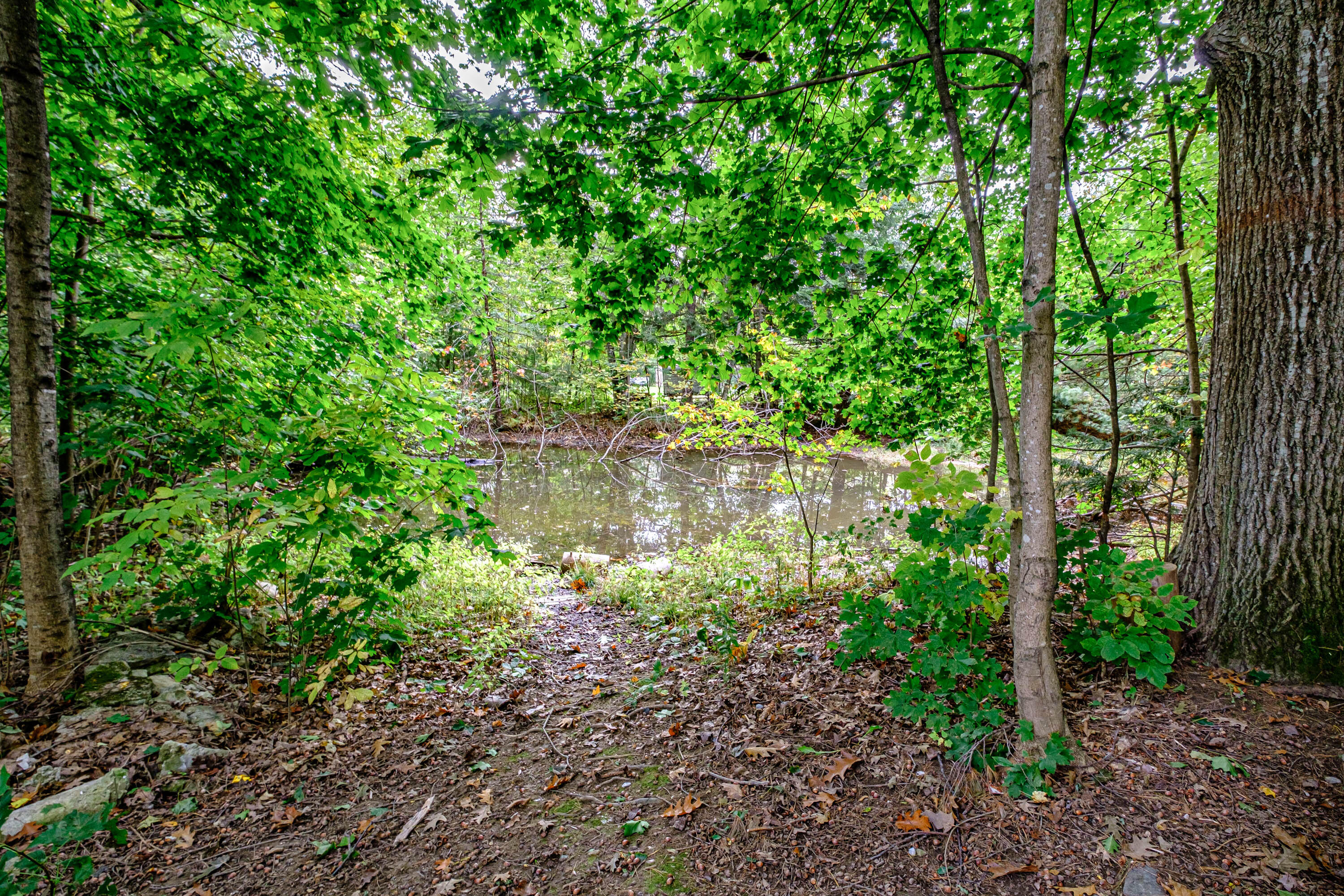 705 Sawyer Road Greene, ME 04236 - Photo 44 of 69 61