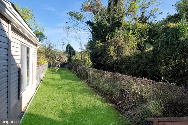 a view of a yard with plants