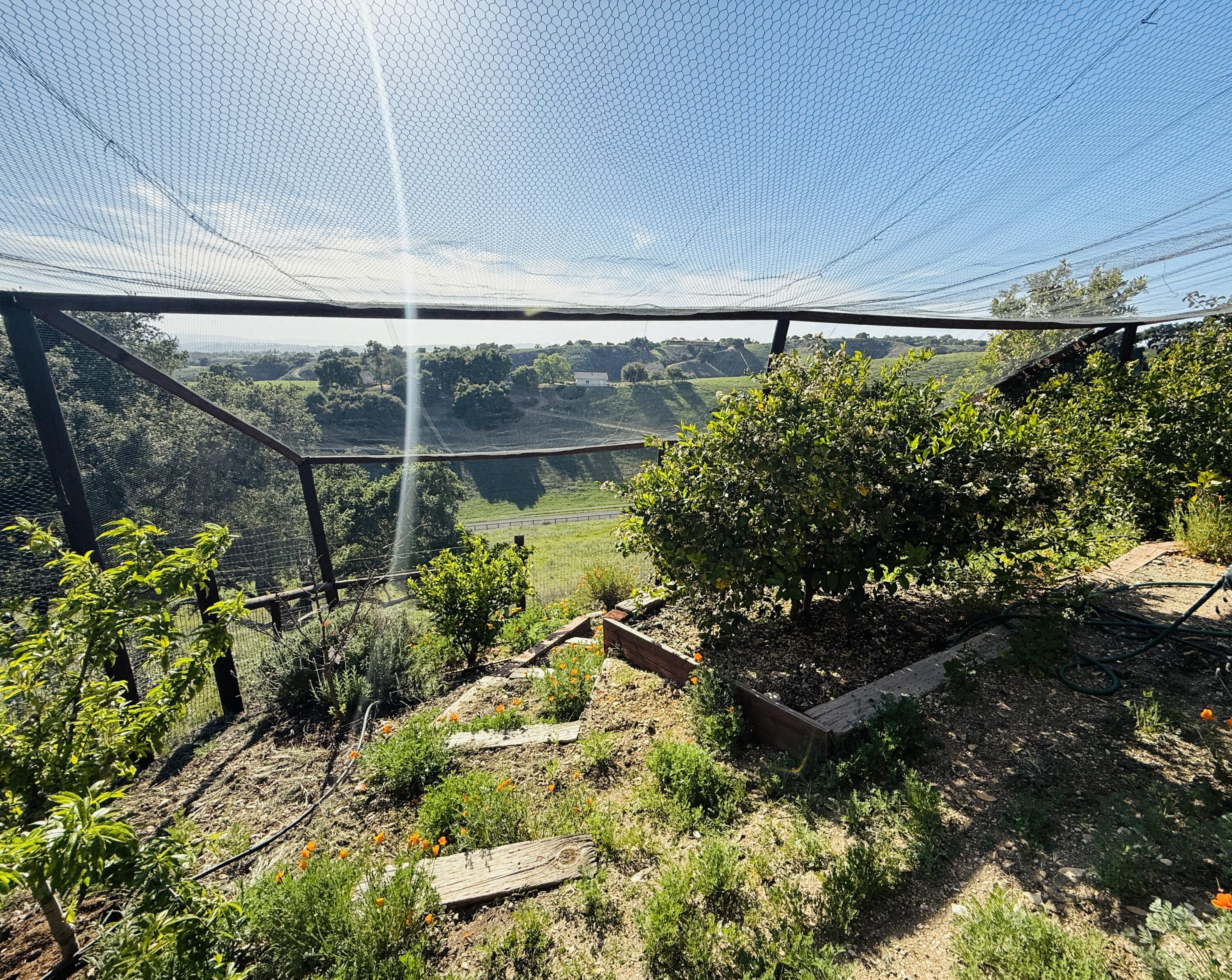 3550 Live Oak Road Santa Ynez, CA 93460 - Photo 34 of 41 Garden