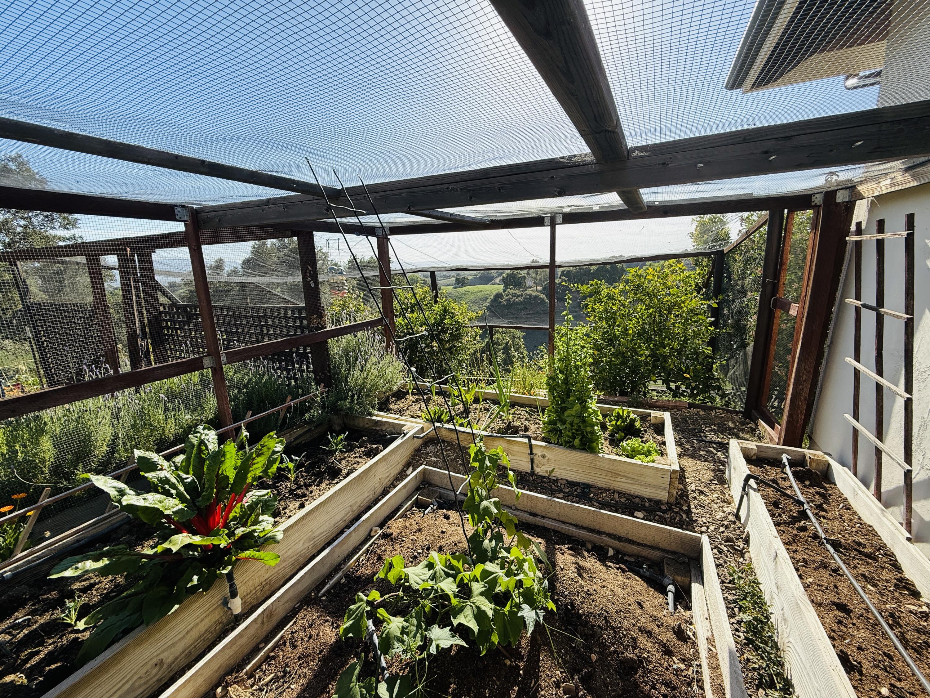 3550 Live Oak Road Santa Ynez, CA 93460 - Photo 35 of 41 Garden2