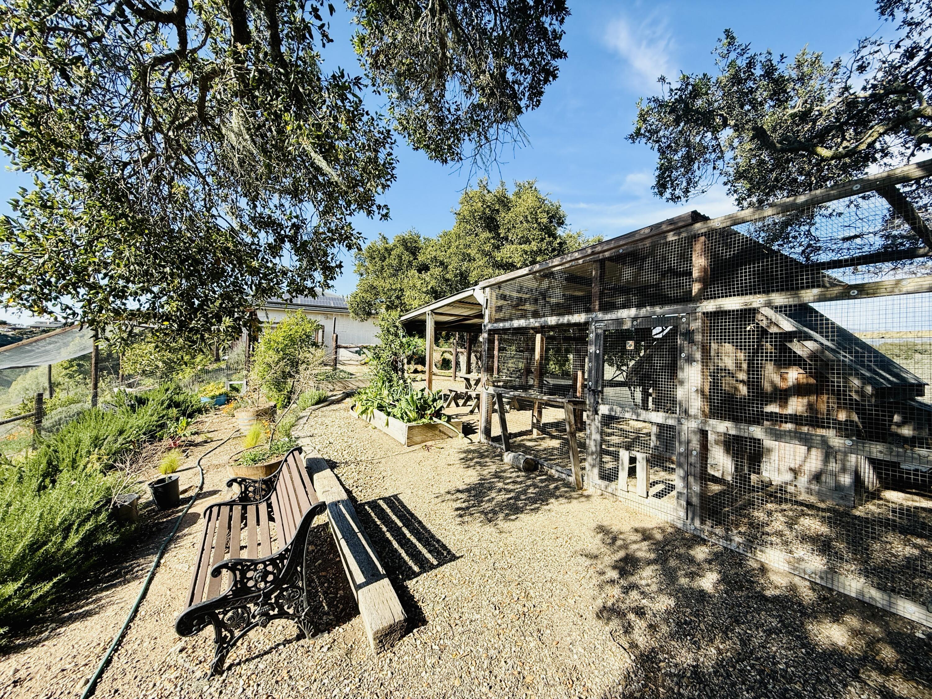 3550 Live Oak Road Santa Ynez, CA 93460 - Photo 36 of 41 ChickenCoop