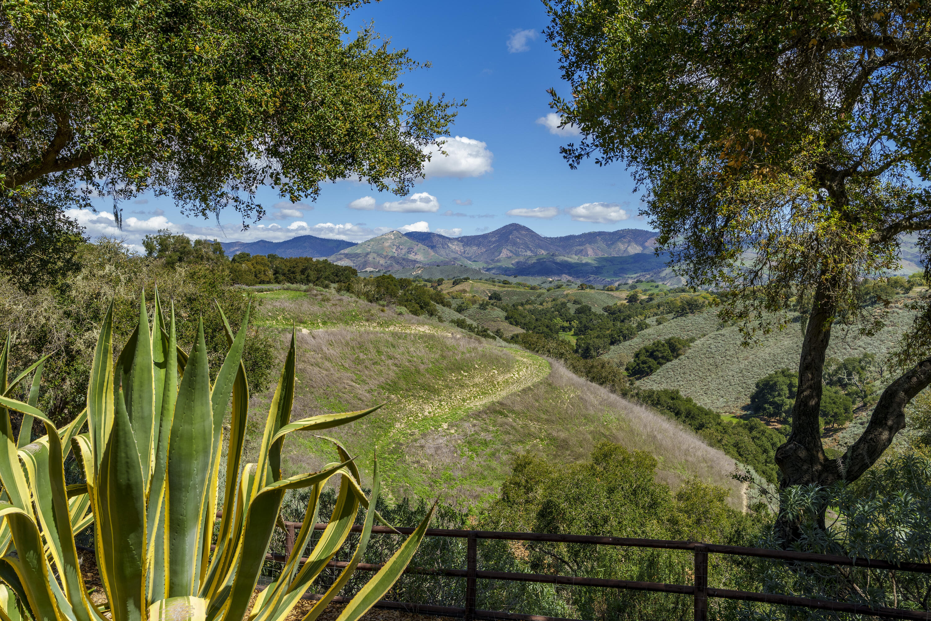 3550 Live Oak Road Santa Ynez, CA 93460 - Photo 4 of 41 LO13