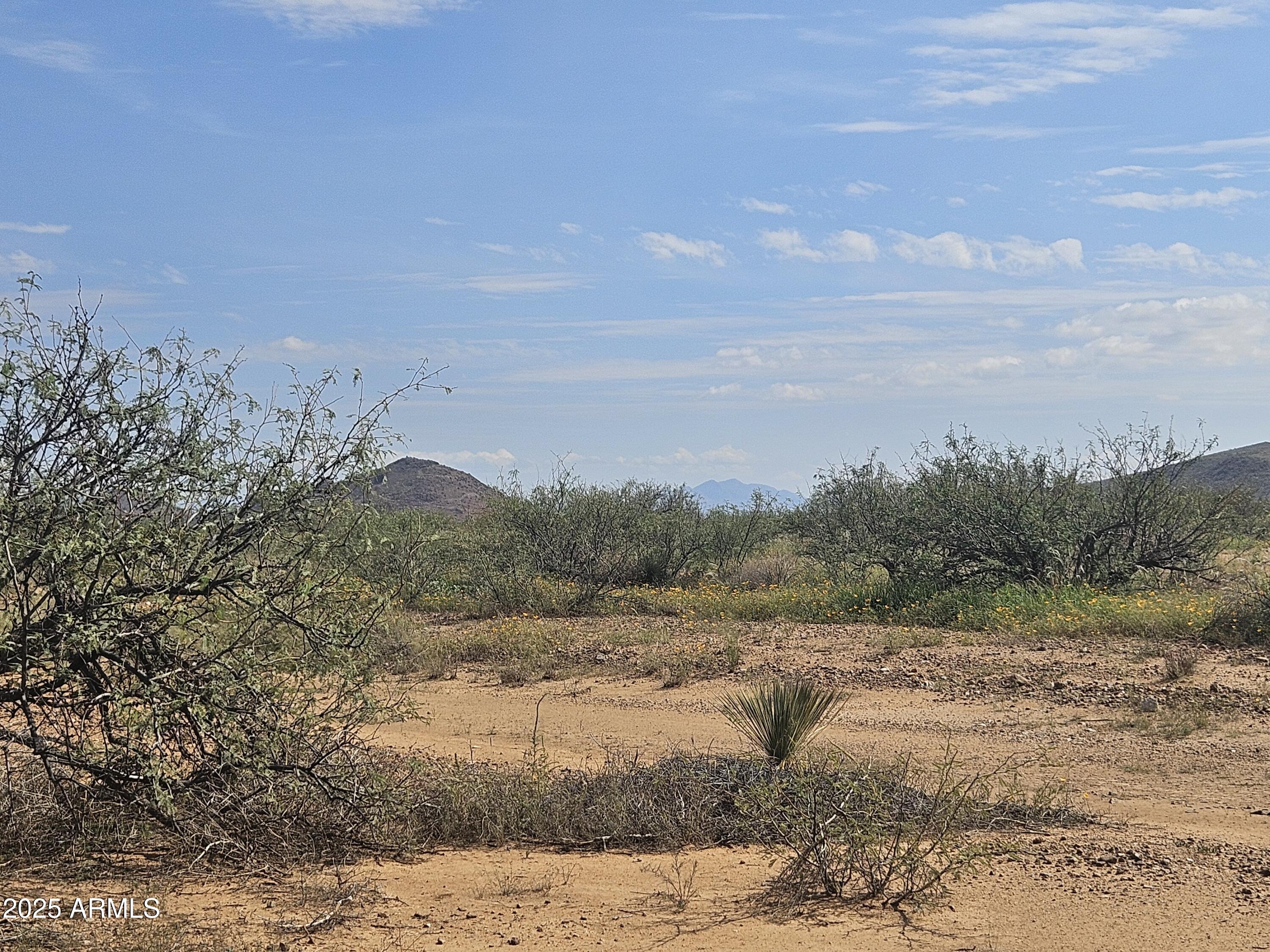 14 15 East & 16 Road, Unit 14 15 & 16 Pearce, AZ 85625 - Photo 5 of 14 a view of a yard