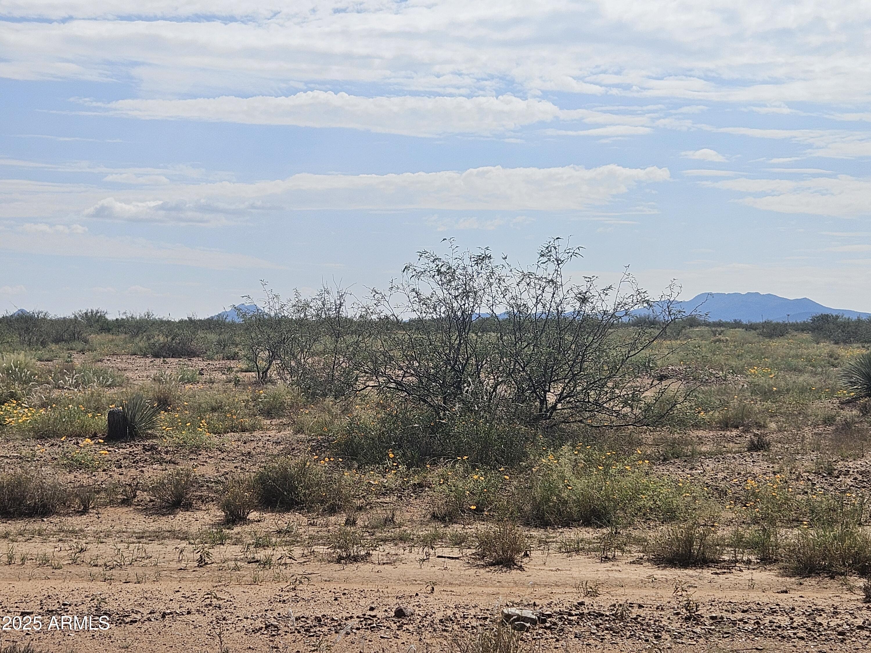14 15 East & 16 Road, Unit 14 15 & 16 Pearce, AZ 85625 - Photo 6 of 14 a view of lake with mountain