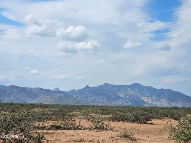 a view of a dry yard covered with snow in the background